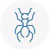 Ant Removals In South Acton