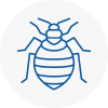 Bed Bug Extermination In South Acton