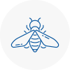 Bee Nest Removal South Acton