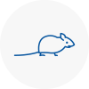 Mice Exterminators In South Acton