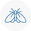 Moth Control Specialists In South Acton