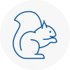 South Acton Rodent Removals